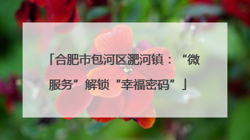 合肥市包河区淝河镇：“微服务”解锁“幸福密码”